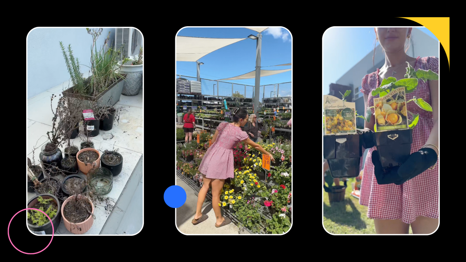 FastPaced Vlogging • Social Soup